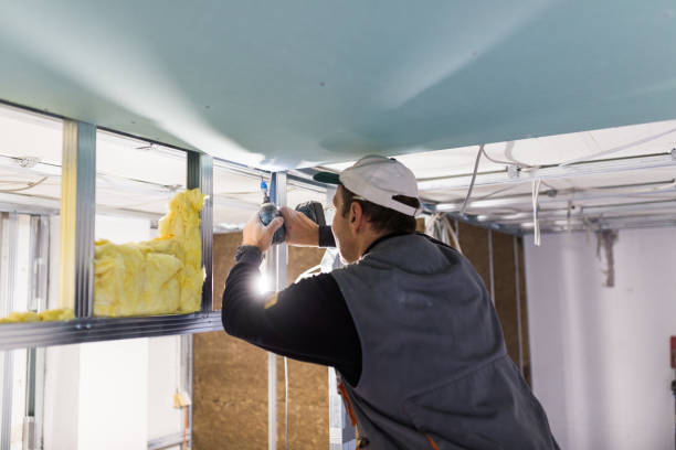 Best Cellulose Insulation  in Bluffton, SC