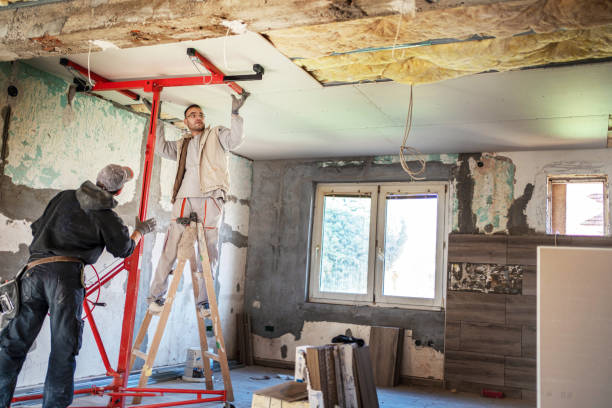 Best Insulation Removal  in Bluffton, SC