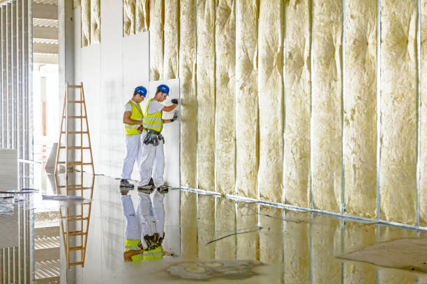 Best Blown-in Insulation  in Bluffton, SC